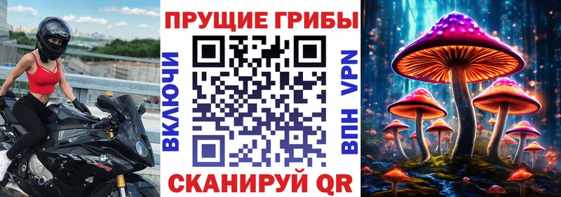 где продают наркотики Балабаново Псилоцибиновые грибы Magic Shrooms
